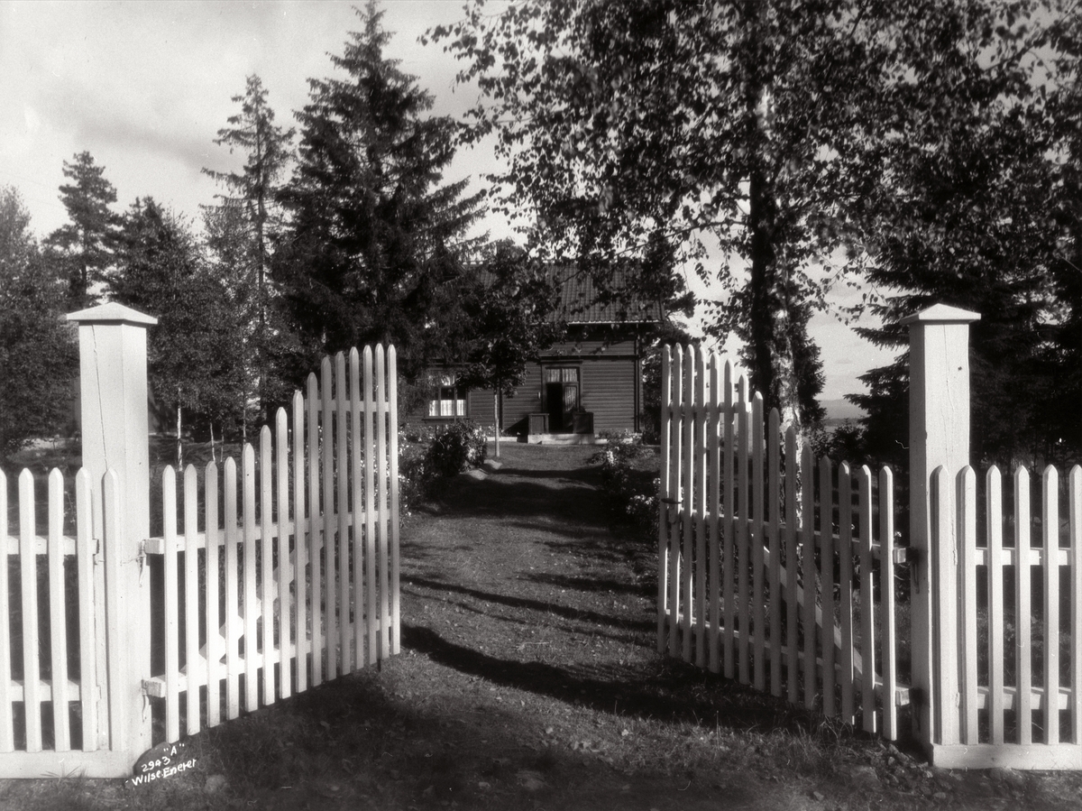 Anders Beer Wilse, Prot: Duun Olav Villa Rambergfjell 29/9