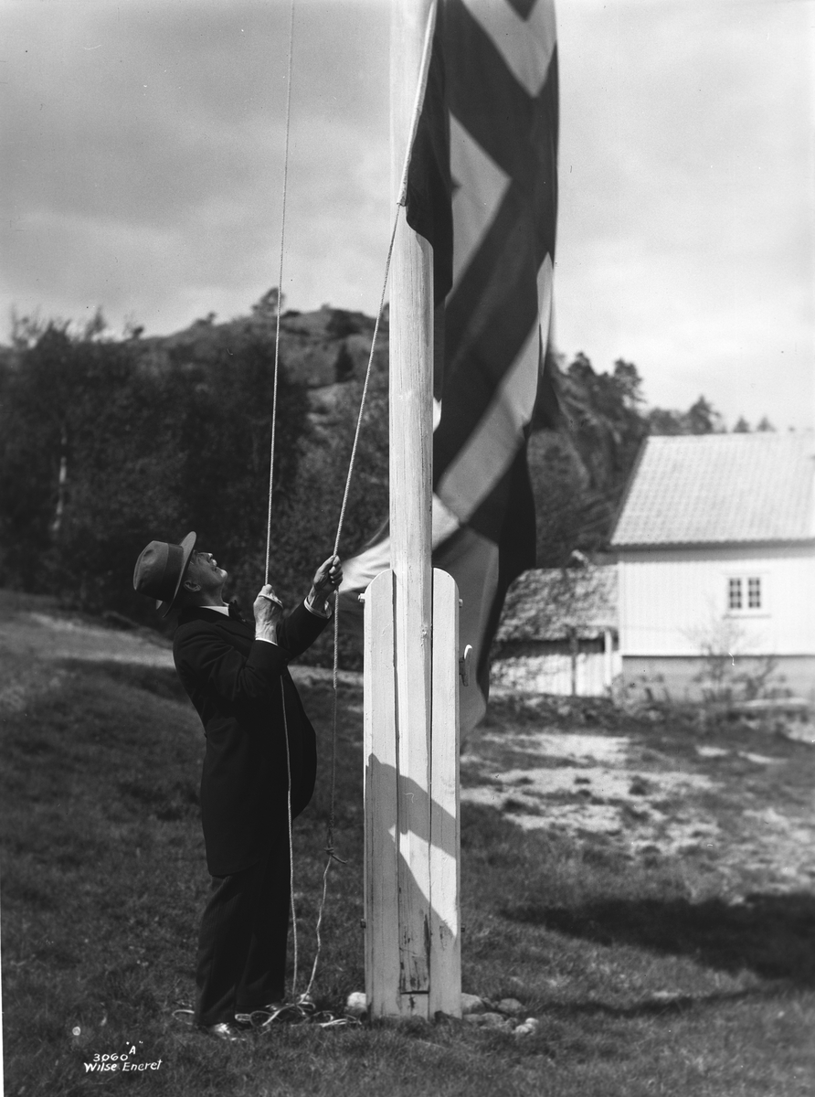 Anders Beer Wilse, Prot: Hamsun heiser flag 28/5