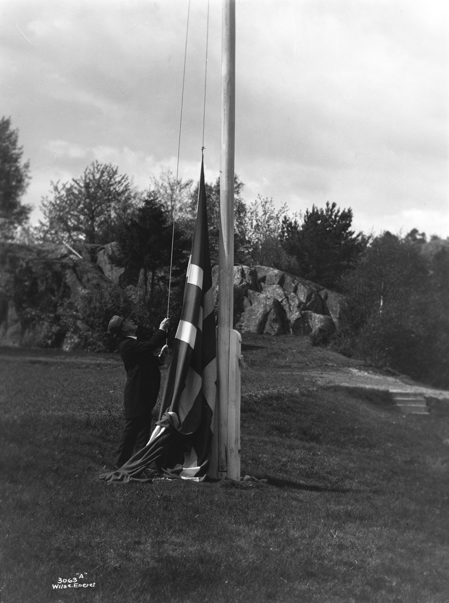 Anders Beer Wilse, Prot: Hamsun heiser flag 28/5