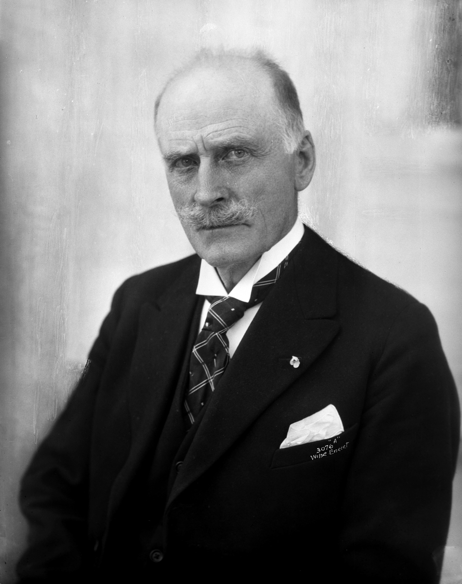 Anders Beer Wilse, Prot: Hamsun portræt