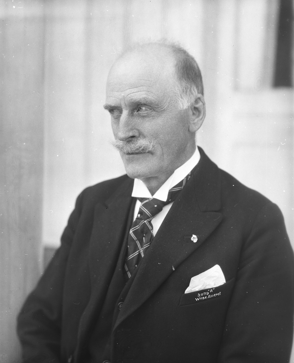 Anders Beer Wilse, Prot: Hamsun portræt