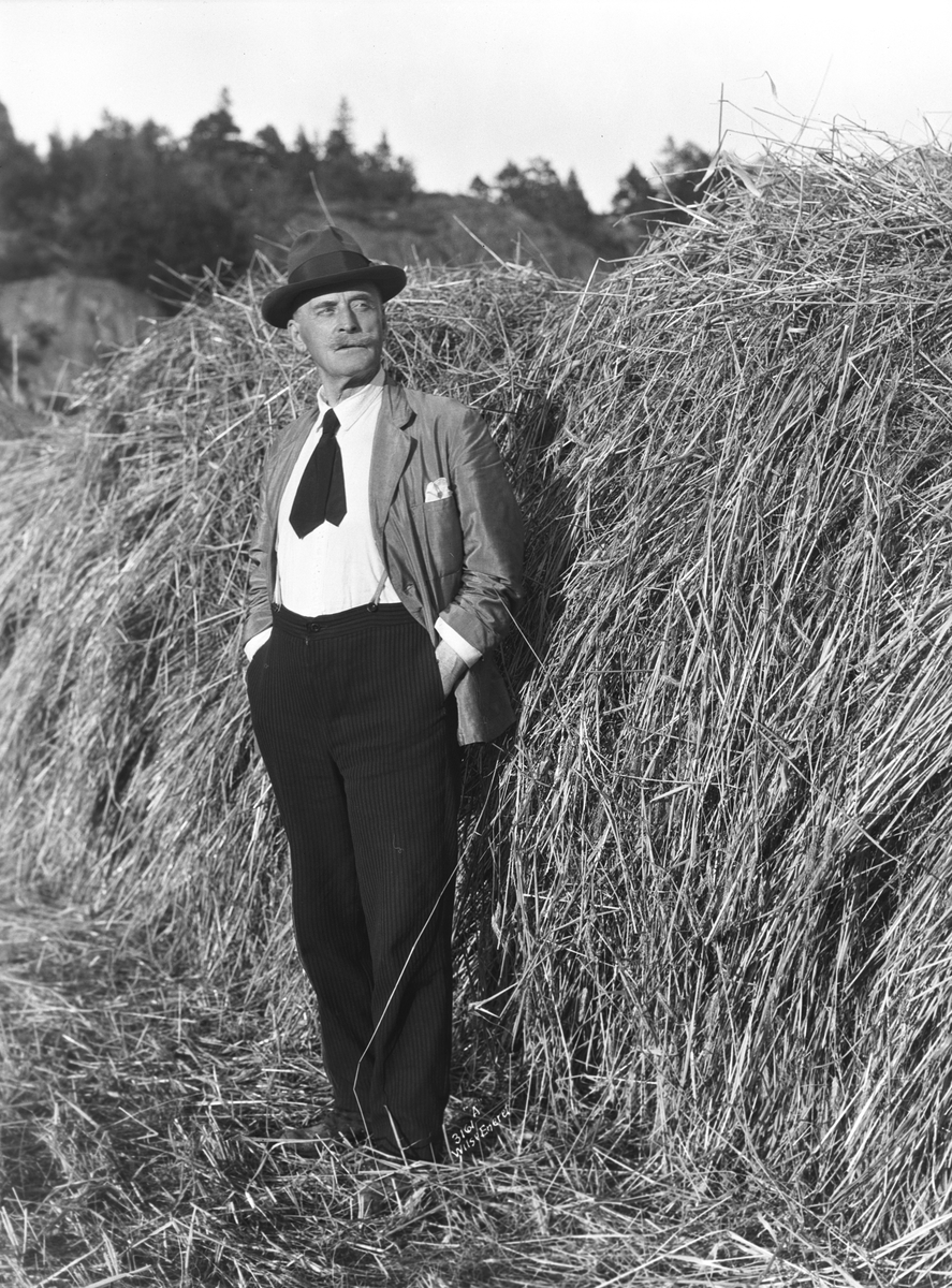 Anders Beer Wilse, Prot: Hamsun Knut ved Hesje 7/8