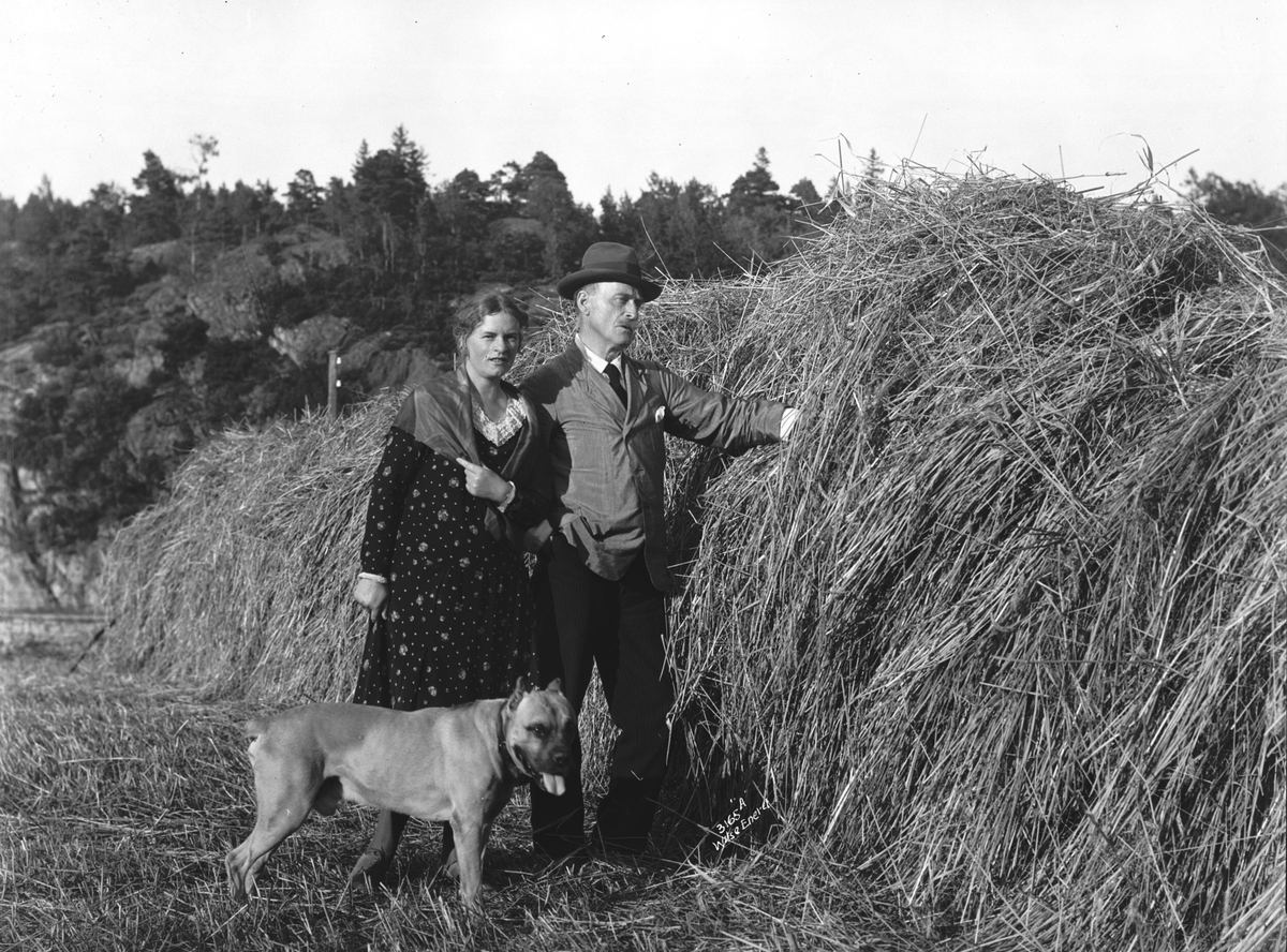 Anders Beer Wilse, Prot: Hamsun Knut og frue 7/8