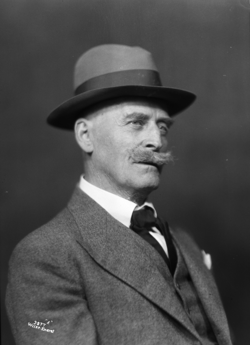 Anders Beer Wilse, Prot: Hamsun Knut 8/9