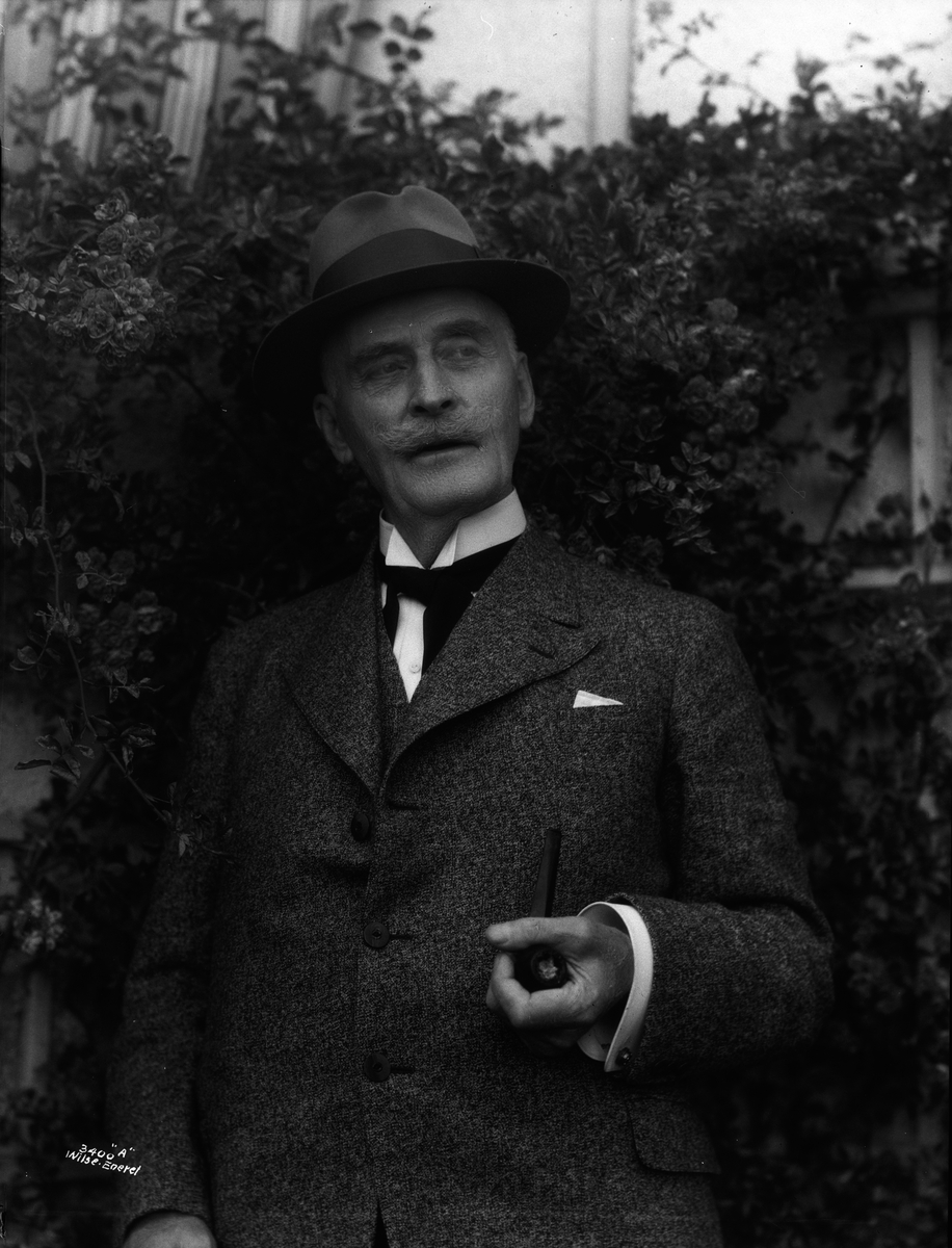 Anders Beer Wilse, Prot: Hamsun Knut blant roser 7/8