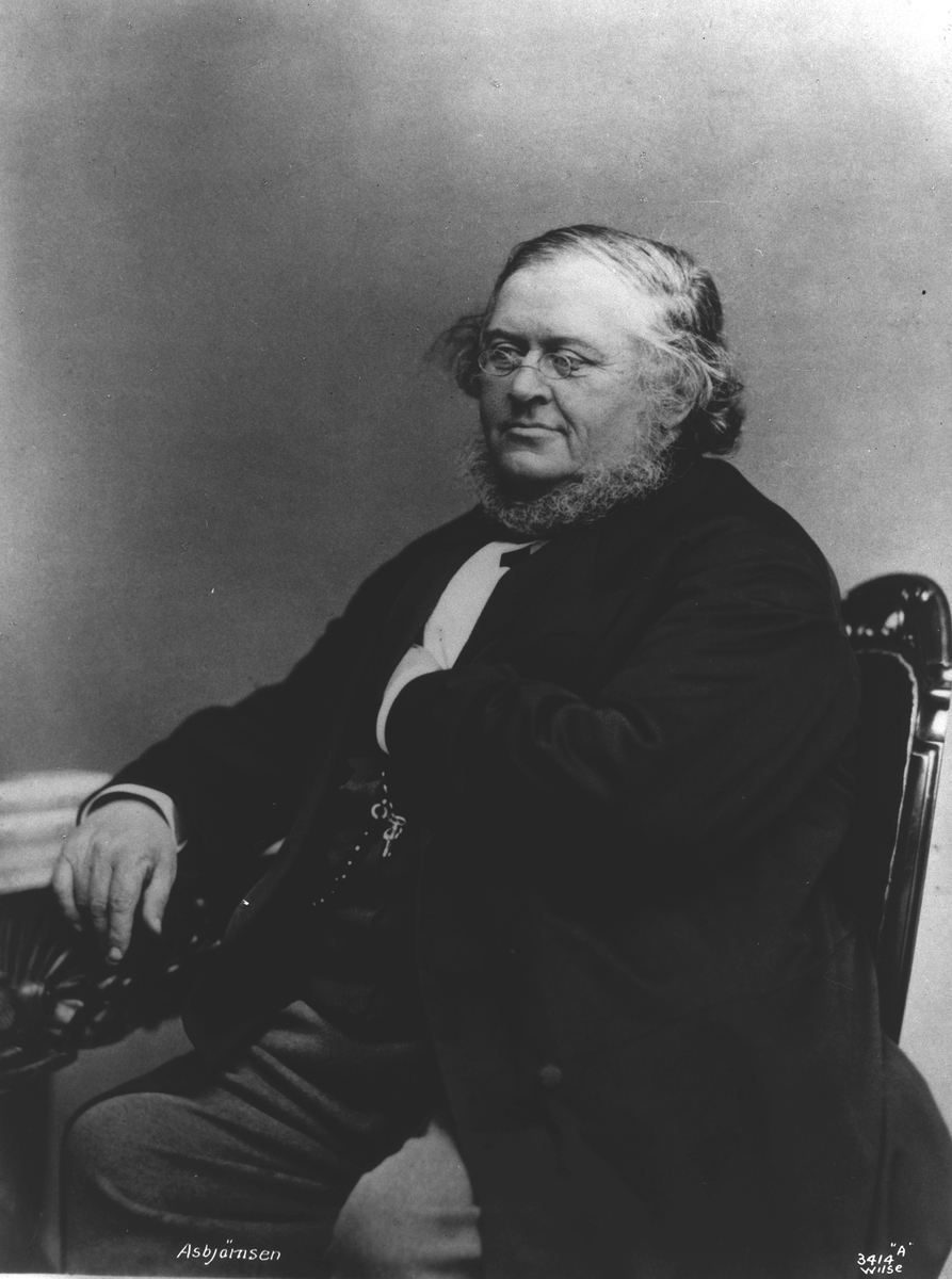 Anders Beer Wilse, Prot: Asbjørnsen