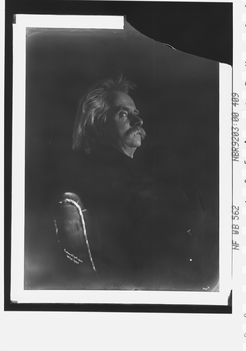 Anders Beer Wilse, Prot: Edvard Grieg - anface