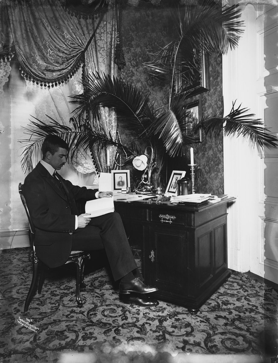 Anders Beer Wilse, Prot: Prins Gustav Adolf ved sit Arbeidsbord