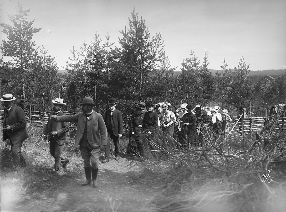 Anders Beer Wilse, Prot: Hr Anker viser omkring i skogen