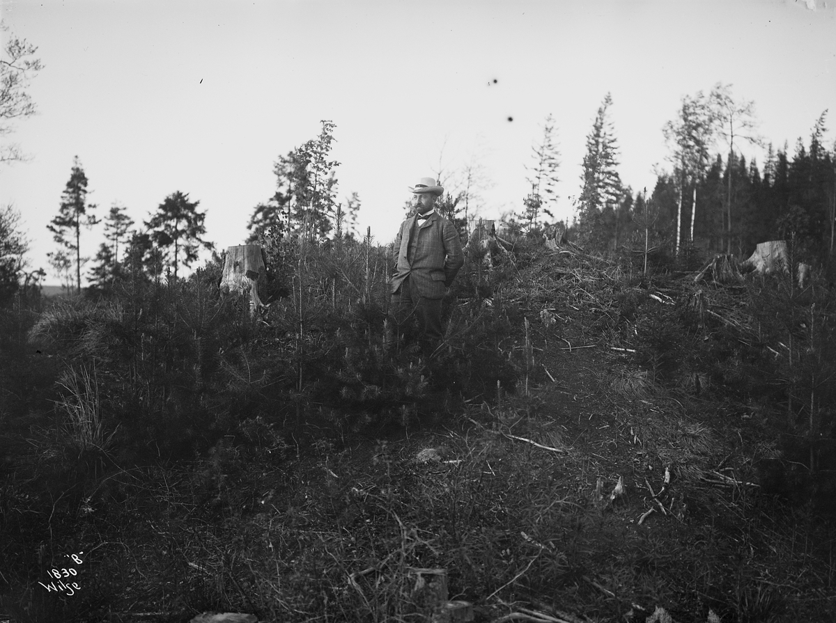 Anders Beer Wilse, Prot: Hr. Skavhaugen demonstrer i skogplantning