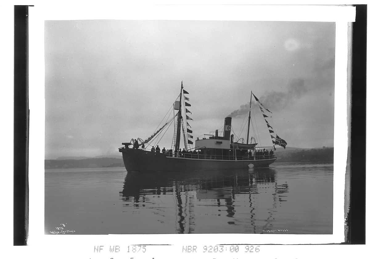 Anders Beer Wilse, Prot: Hvalfanger No 264 ute paa Fjorden