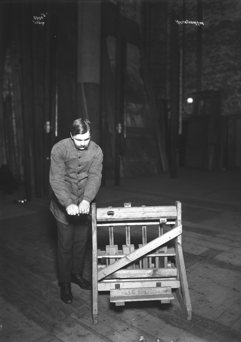 Anders Beer Wilse, Prot: Nationaltheatret - Hestetrampen