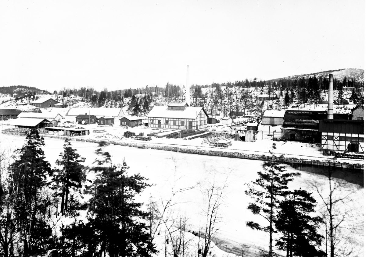 Anders Beer Wilse, Prot: Nitroglycerin Co. - Engene Panorama