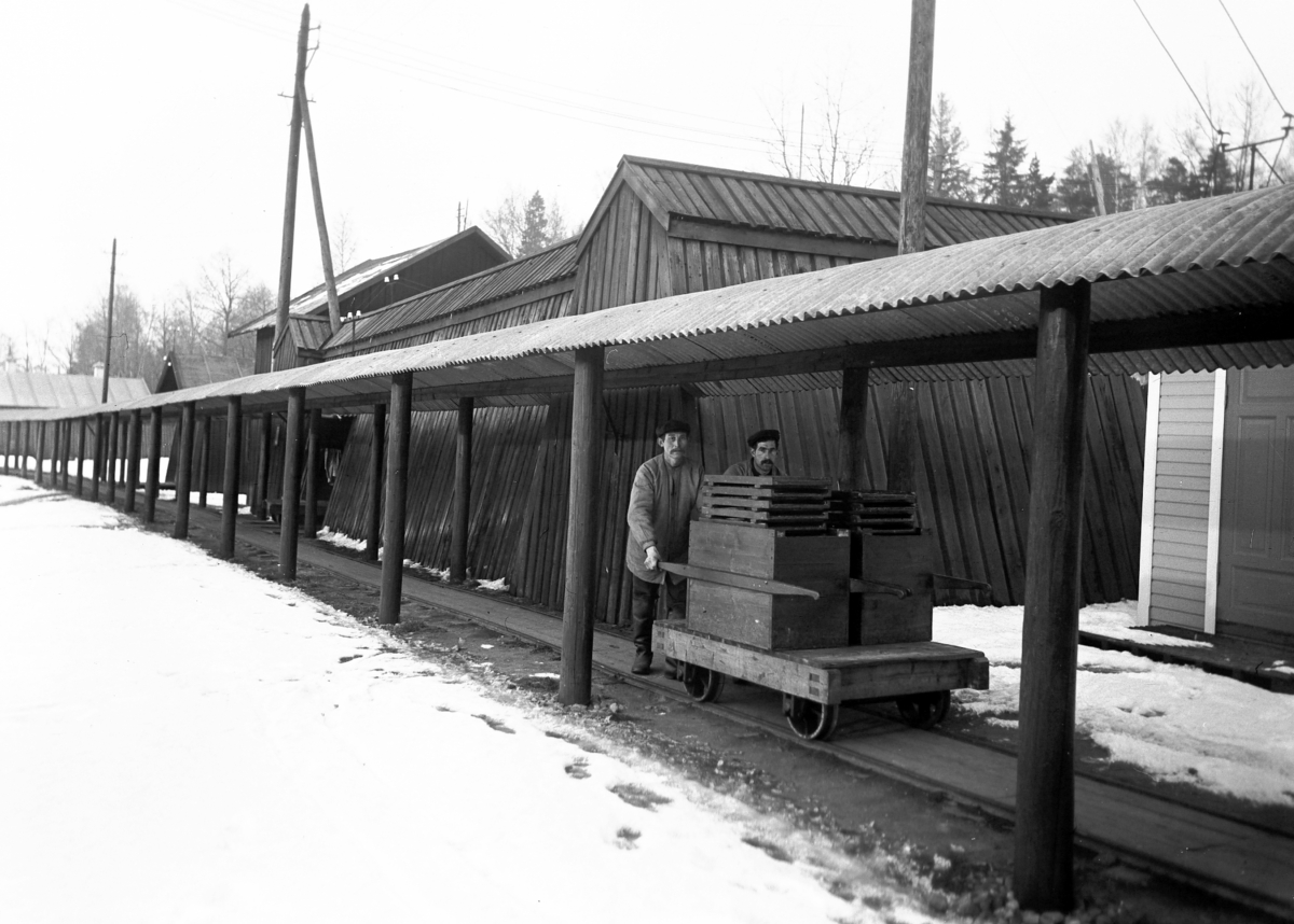 Anders Beer Wilse, Prot: Nitroglycerin Co. Engene Gangen langs Dynamitthusene