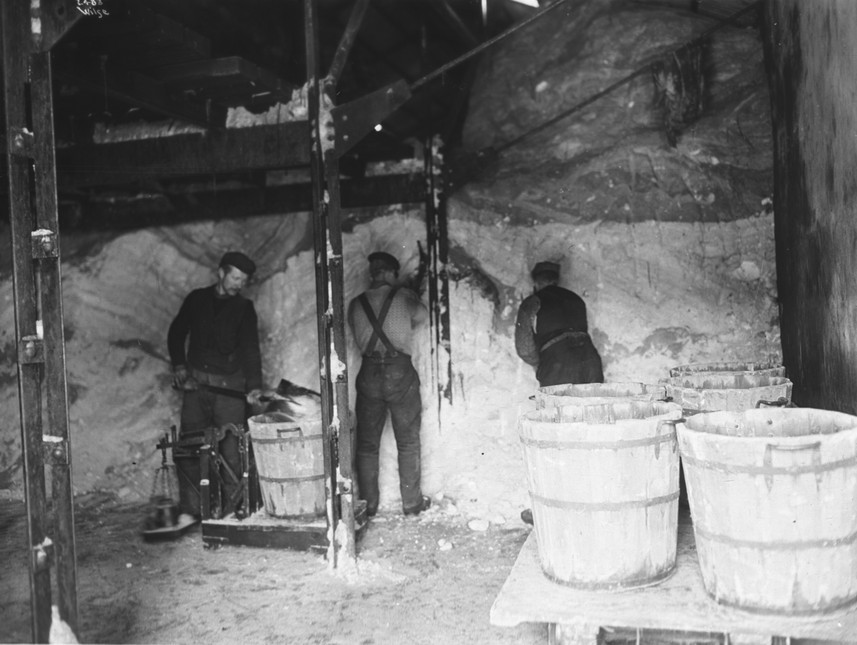 Anders Beer Wilse, Prot: Nitroglycerin Co. Engene Salpeterlageret