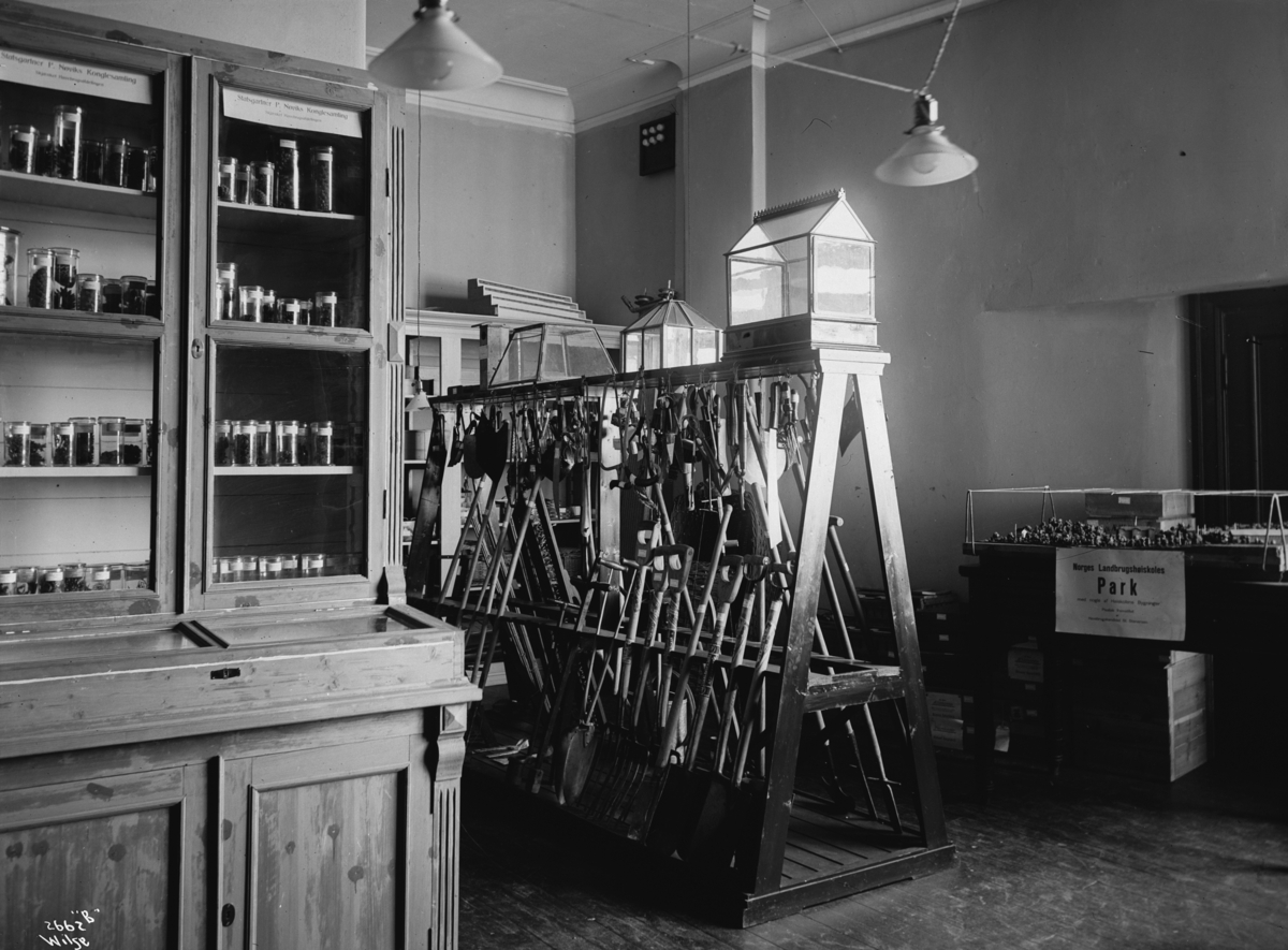 Anders Beer Wilse, Prot: Aas Landbrugsskole. Gartnersamling