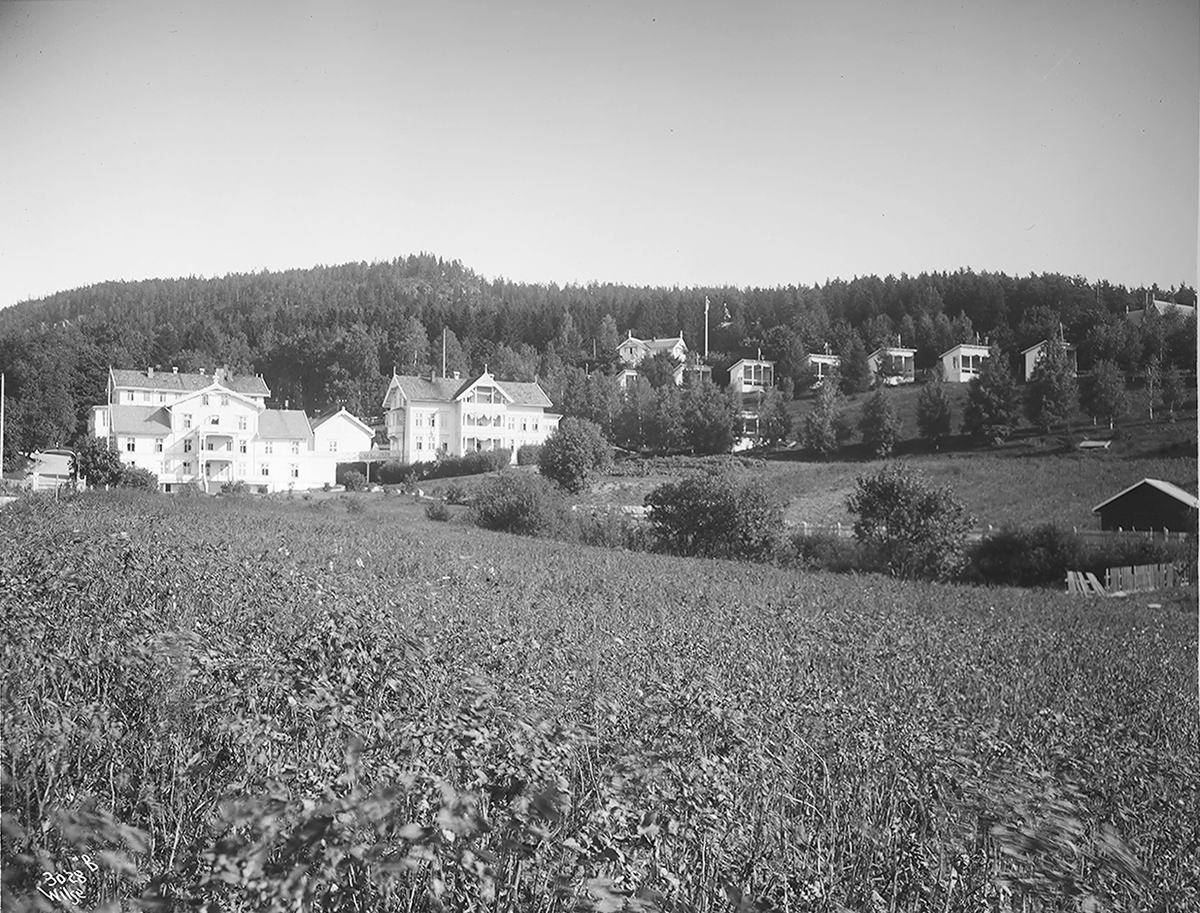 Anders Beer Wilse, Prot: Grefsen Sanatorium Oversigt