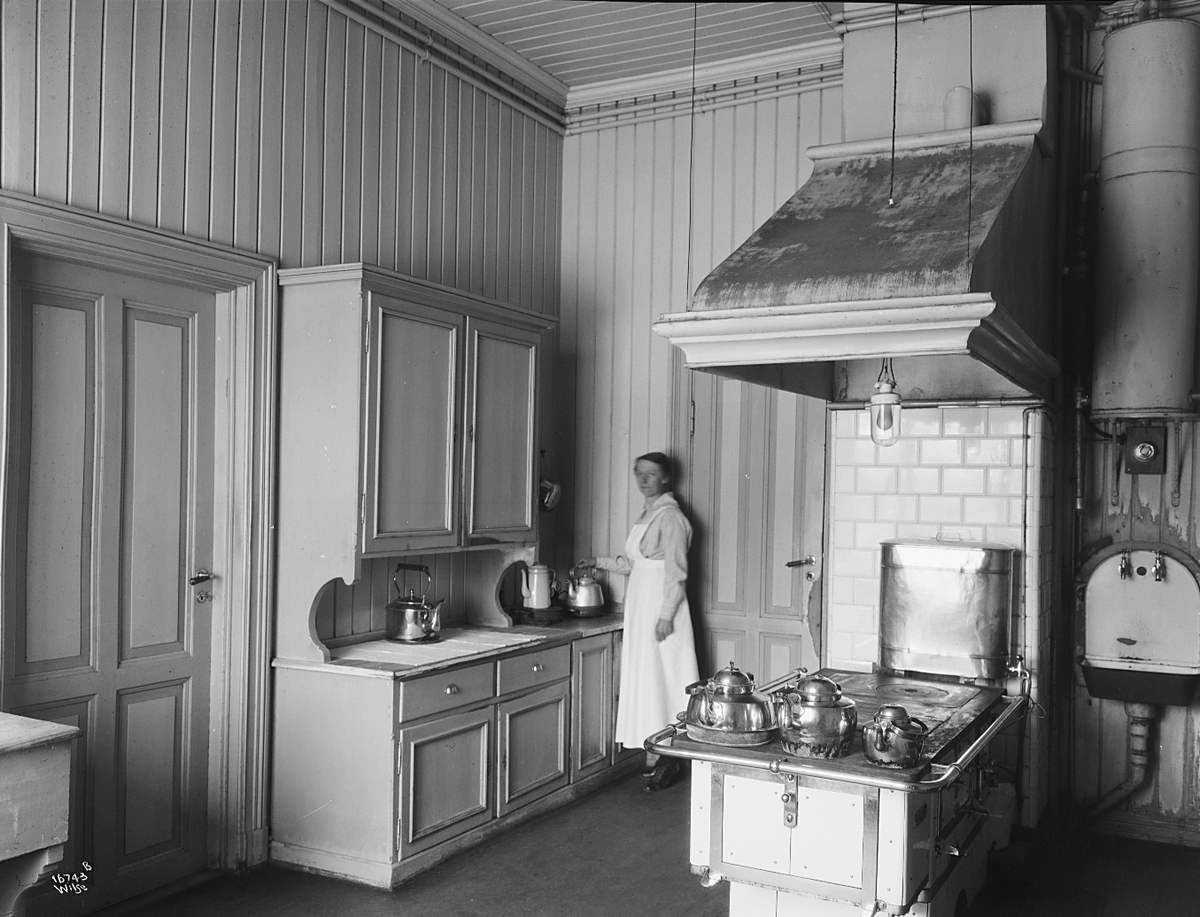Anders Beer Wilse, Prot: Fougner ""Villa"" Asker