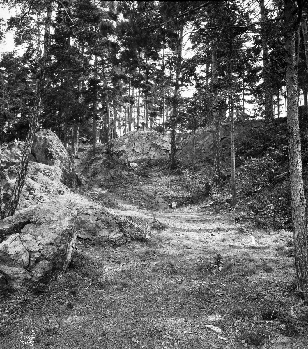 Anders Beer Wilse, Konv: Aastedsbefaring Bygdø