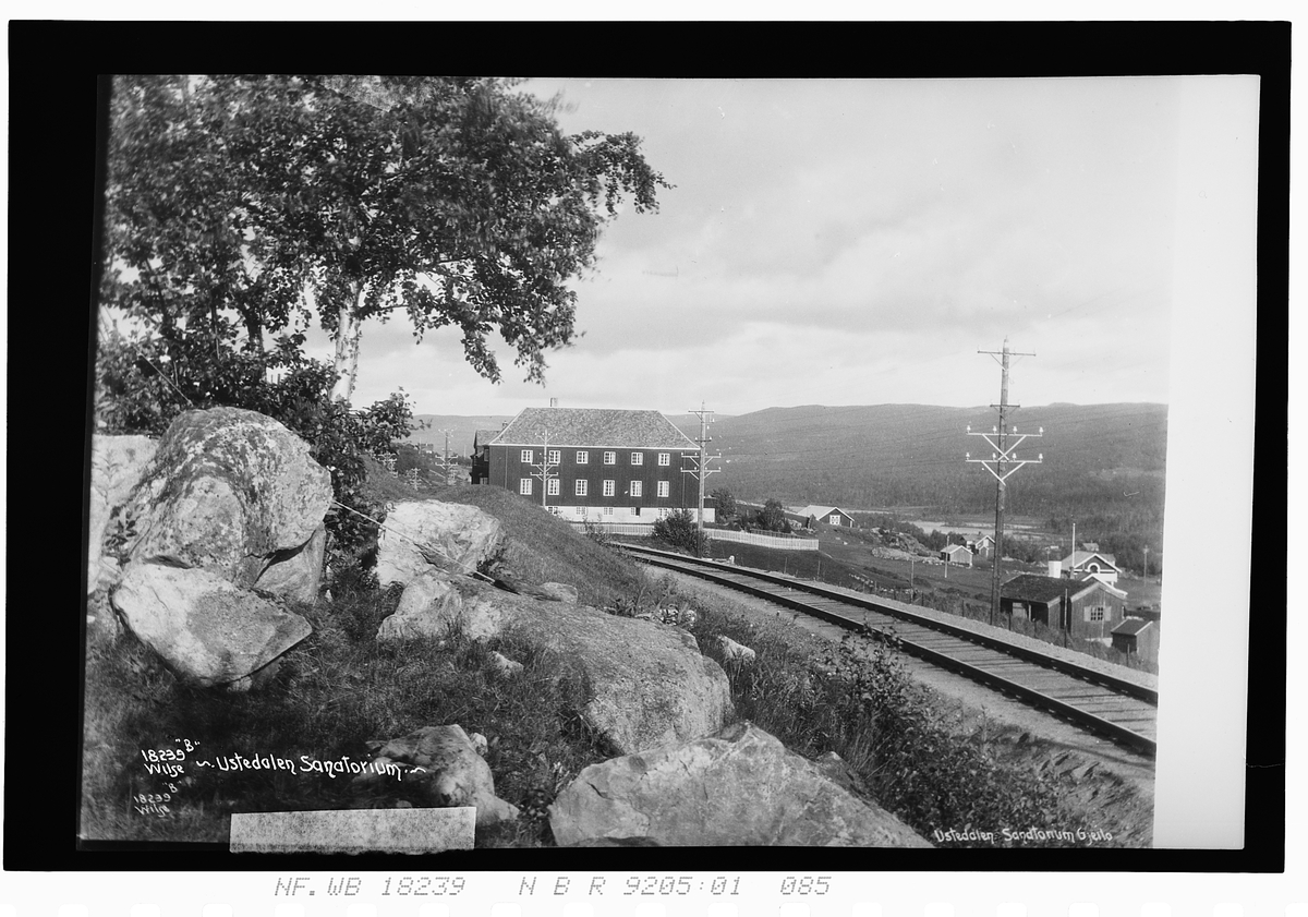 Anders Beer Wilse, Konv: Ustedalen sanatorium