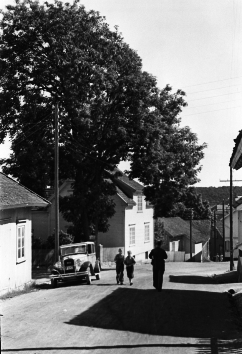 Anders Beer Wilse, Prot: Langesund