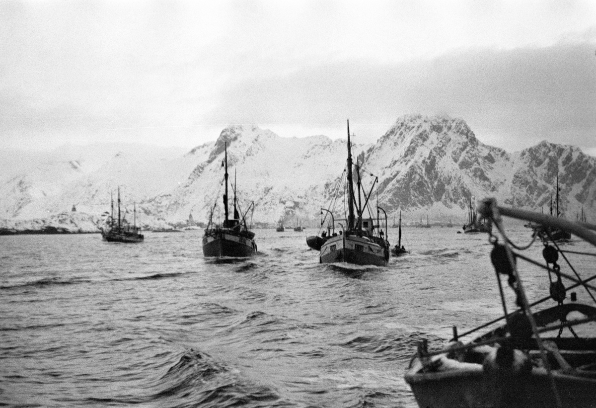 Anders Beer Wilse, Prot: Ut til fiske