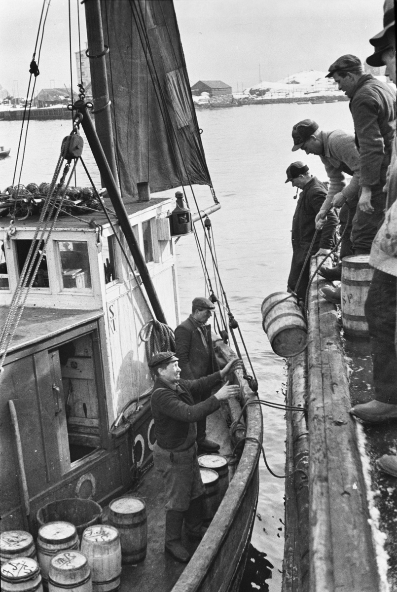 Anders Beer Wilse, Prot: Svolvær havn