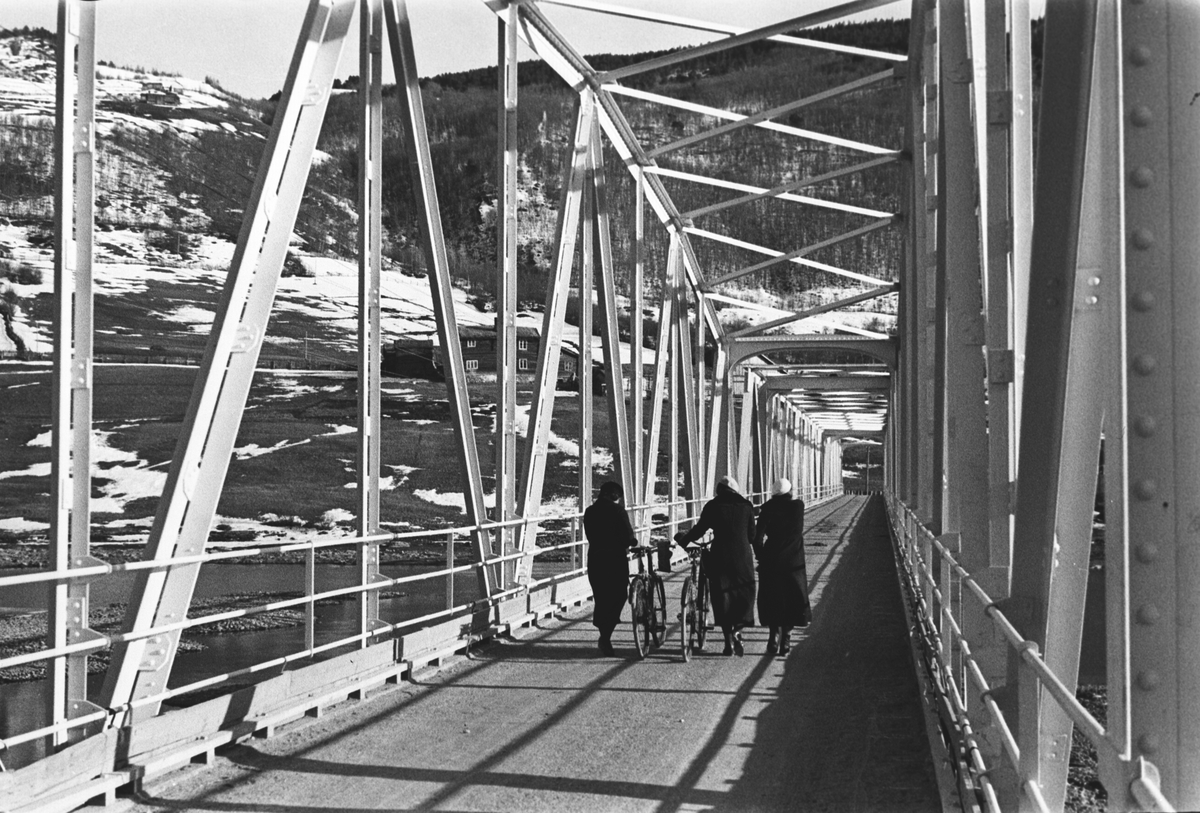 Anders Beer Wilse, Prot: Jotunheimen Bro over Vågåvann