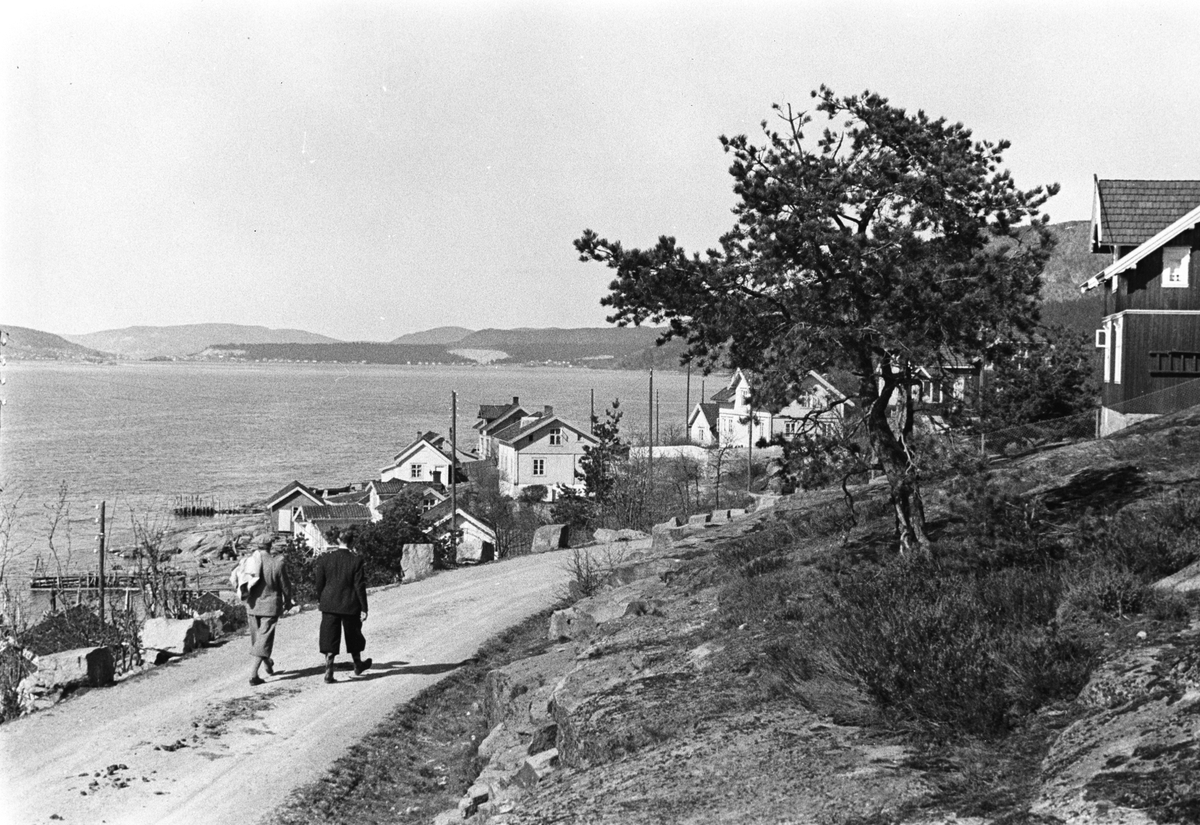 Anders Beer Wilse, Prot: Skog Hurum