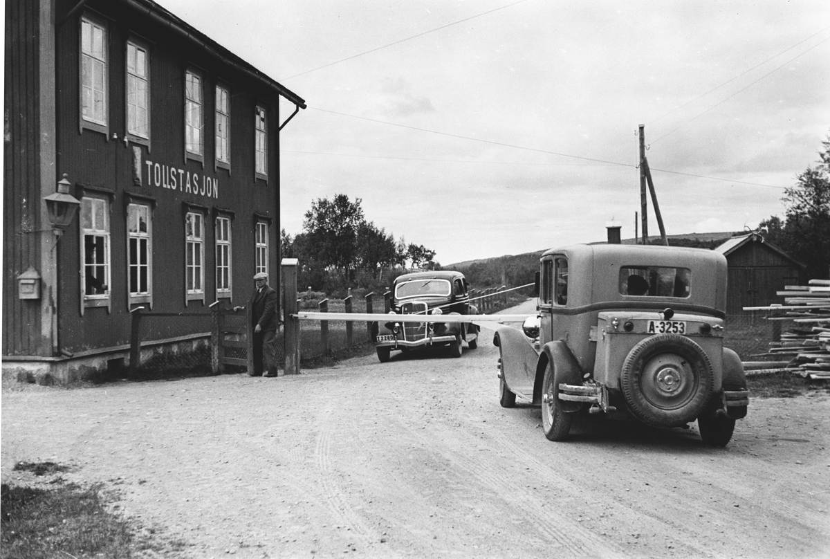 Anders Beer Wilse, Prot: Vauldalen