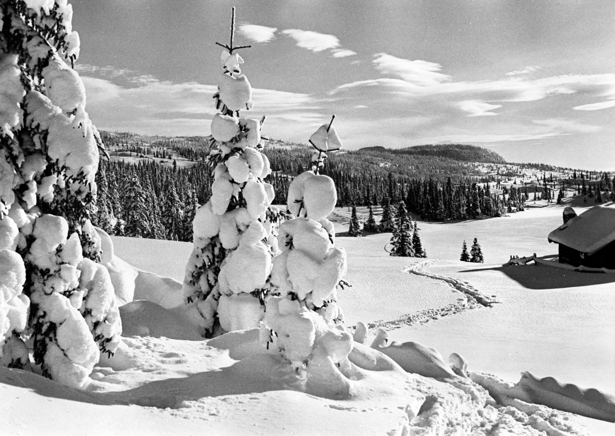 Anders Beer Wilse, Prot: Tuddal Vinter Mittet