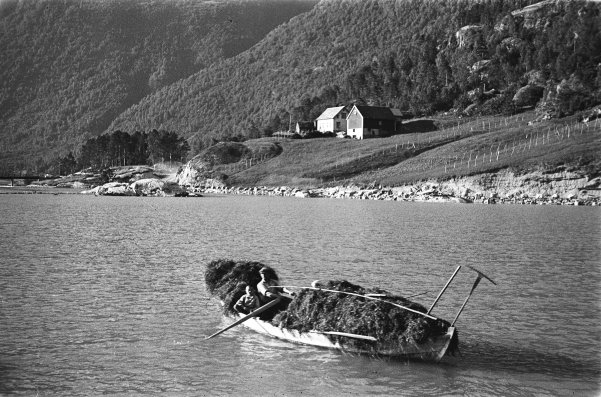 Anders Beer Wilse, Prot: Loenvann. Höitransport