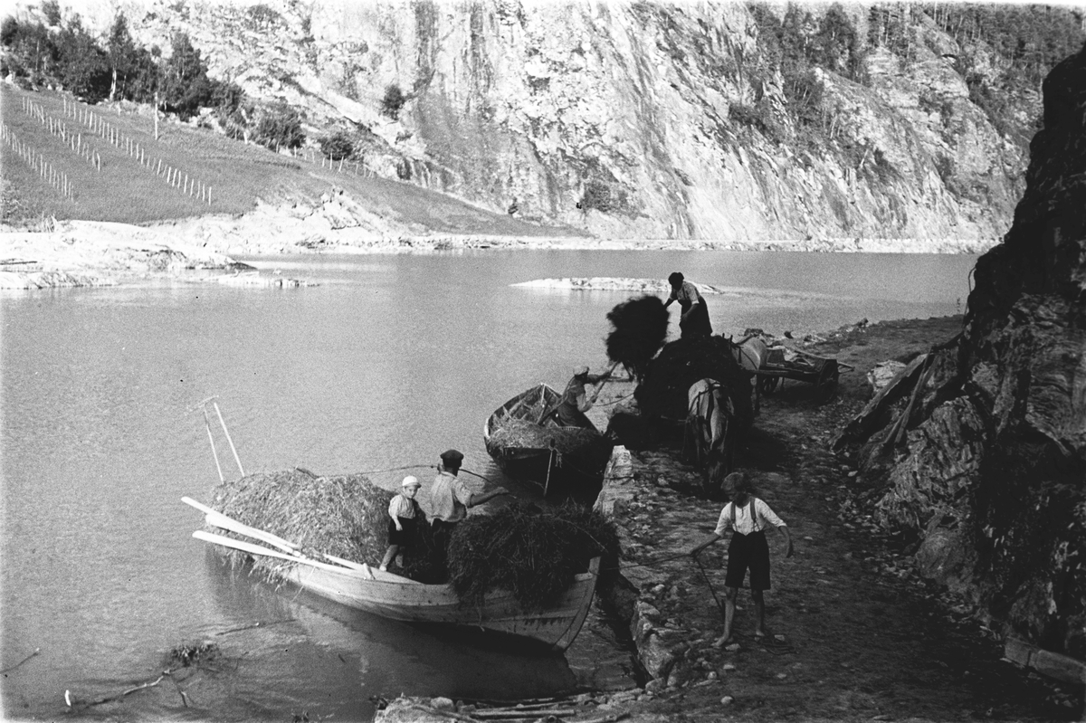 Anders Beer Wilse, Prot: Loenvann. Höitransport