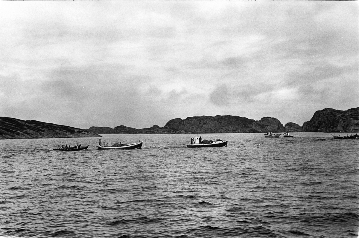 Anders Beer Wilse, Prot: Sildefiske Paa havet nær Haugesund