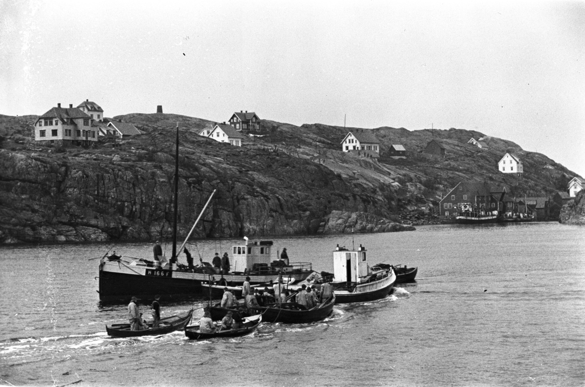 Anders Beer Wilse, Prot: Sildefiske paa havet