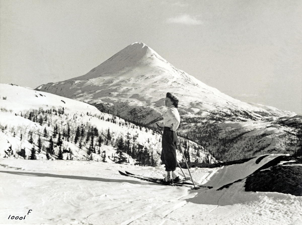 Anders Beer Wilse, "Prot: Gausta med skipike Vidnes 7-39"