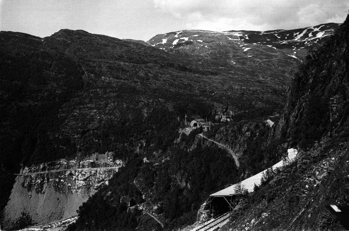 Anders Beer Wilse, Prot: Bergensbanen Flåmsdalsbanen fra Bergensbanen
