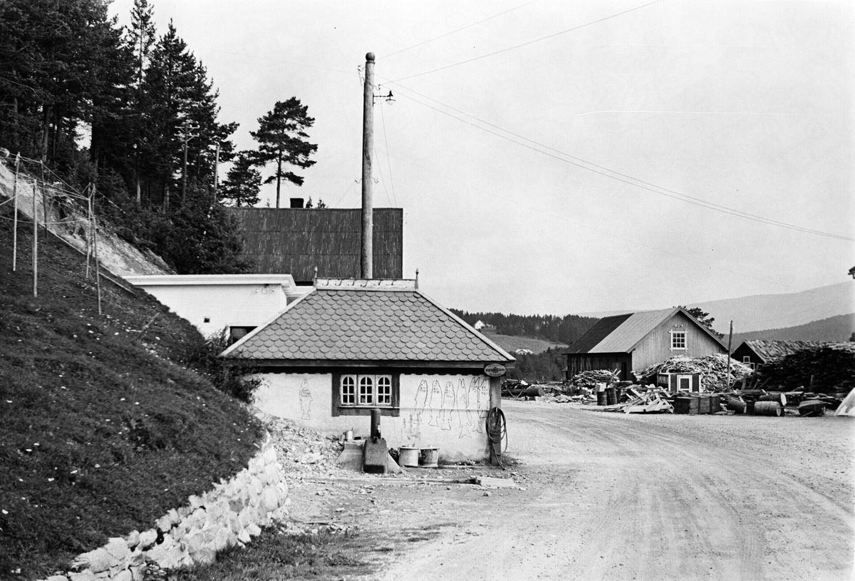 Anders Beer Wilse, Prot: Privat kraftverk. Åsheim storsjöen