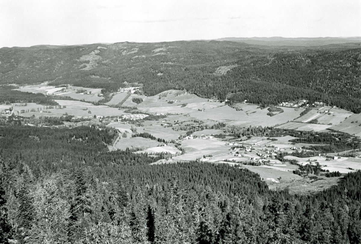 Anders Beer Wilse, "Prot: Nordmarka Utsigt Varingskollen