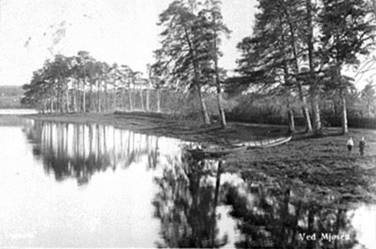 Anno Domkirkeodden, ROBÅTER VED MJØSA I ÅKERSVIKA. POSTKORT.