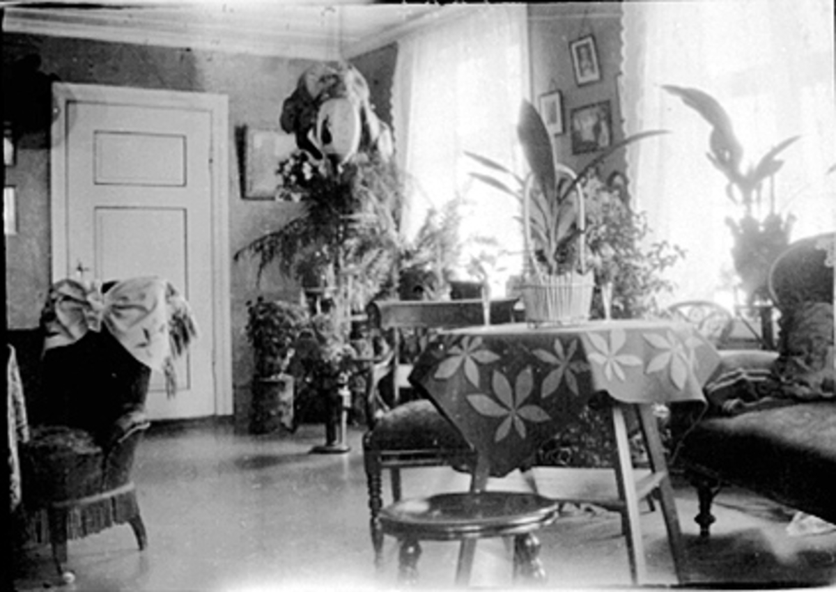 Anno Domkirkeodden, INTERIØR: STUE, HJEMME HOS JULIE ØSTBYE, MØBLER, BLOMSTER, PLANTER