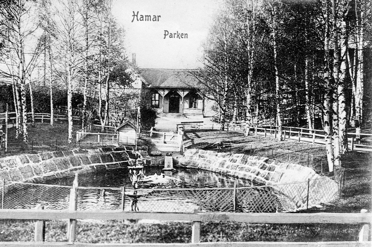 Anno Domkirkeodden, HAMAR PARK MED ANDEDAMMEN, I BAKGRUNNEN DEN GAMLE KAFEEN.