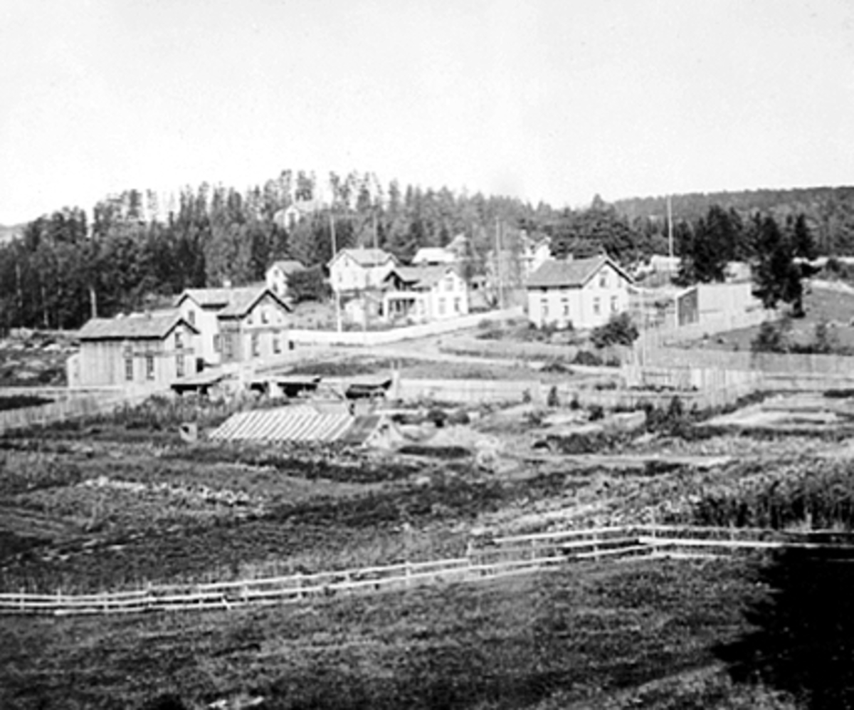 Anno Domkirkeodden, OVERSIKT BRYGGERIGATA/FR. MONSENSGATE, HAKABEKKVEGEN, AMTMANNSBOLIGEN, GRÅBENSHOLEN, MATHIAS RØHNES GARTNERI