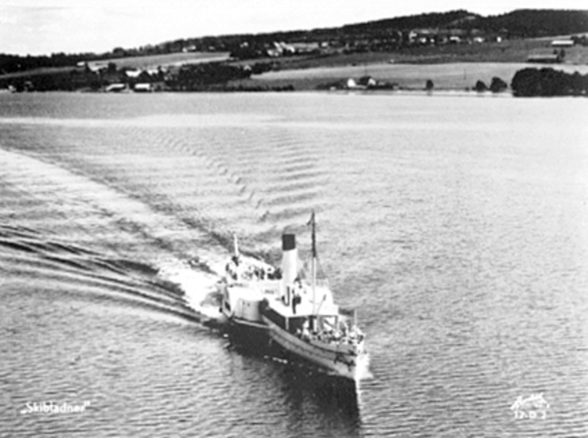 Anno Domkirkeodden, FLYFOTO AV D. S. SKIBLADNER PÅ MJØSA