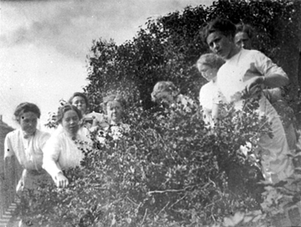 Anno Domkirkeodden, GRUPPE 8 DAMER PLUKKER STIKKELSBÆR I HAGEN HOS REKTOR HORN