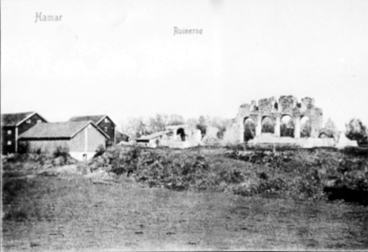 Anno Domkirkeodden, DOMKIRKERUINEN SETT FRA HEDMARKSTUNET, LÅVEN, HEDMARKSMUSEET OG DOMKIRKEODDEN