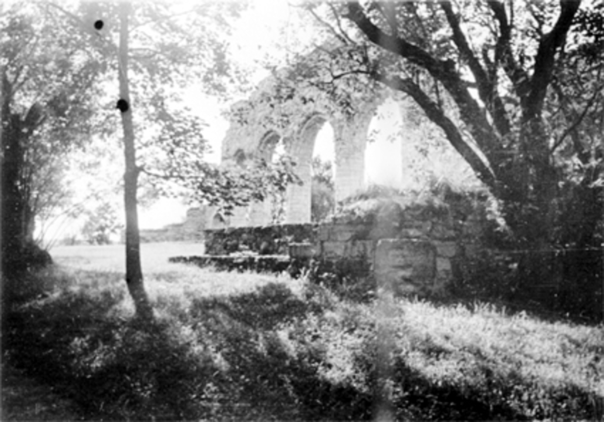 Anno Domkirkeodden, DOMKIRKERUINEN, HEDMARKSMUSEET OG DOMKIRKEODDEN,