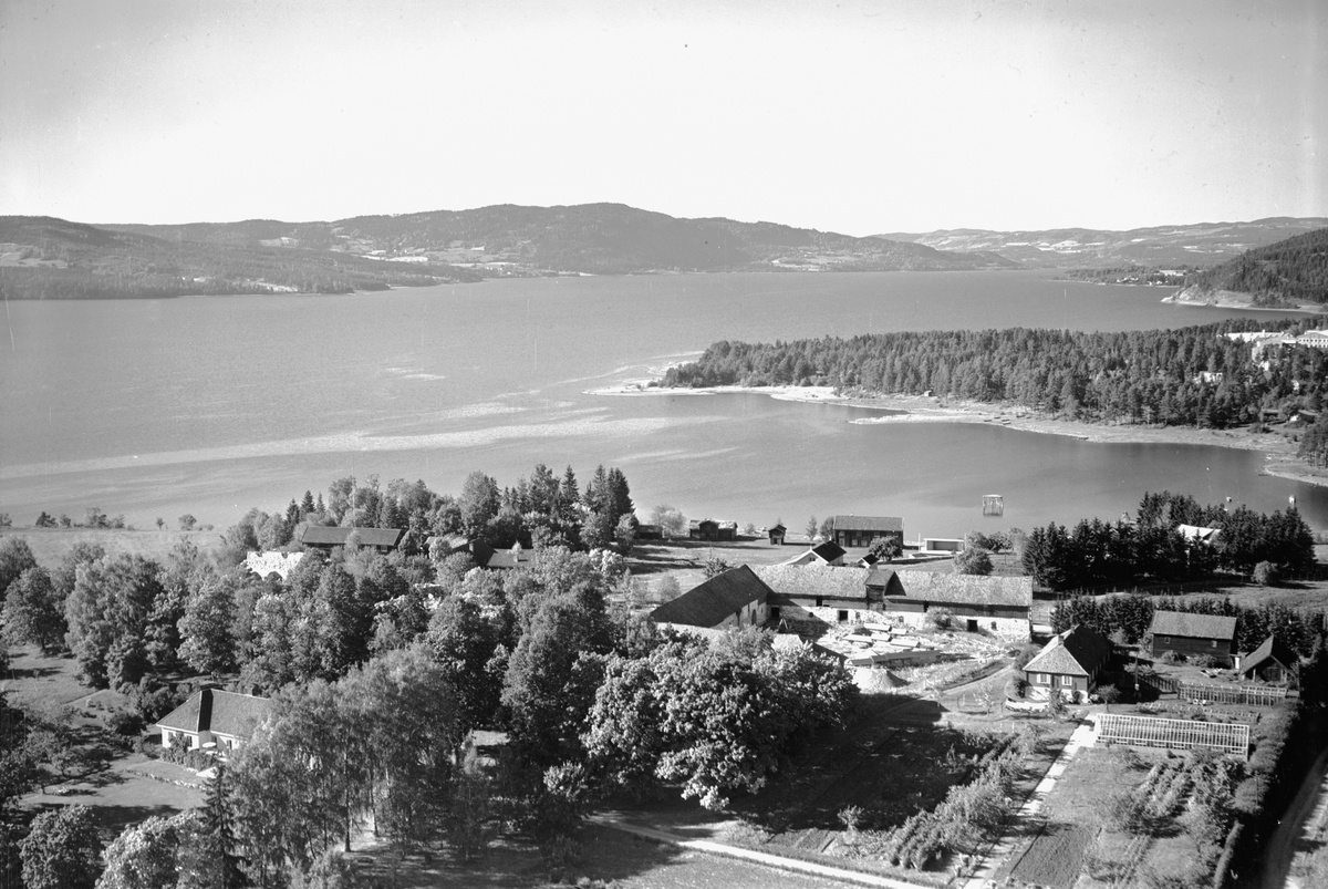 Widerøes Flyveselskap A/S, FLYFOTO OVERSIKT HEDMARKSMUSEET OG DOMKIRKEODDEN, FRA HOVEDBYGNINGEN PÅ STORHAMAR GÅRD (STORHAMARBYGNINGEN), DRENGSTUA, DRIVHUS, LÅVEN MOT LØTENBYGNINGEN OG ROSENLUNDSVIKA. MJØSLANDSKAP: