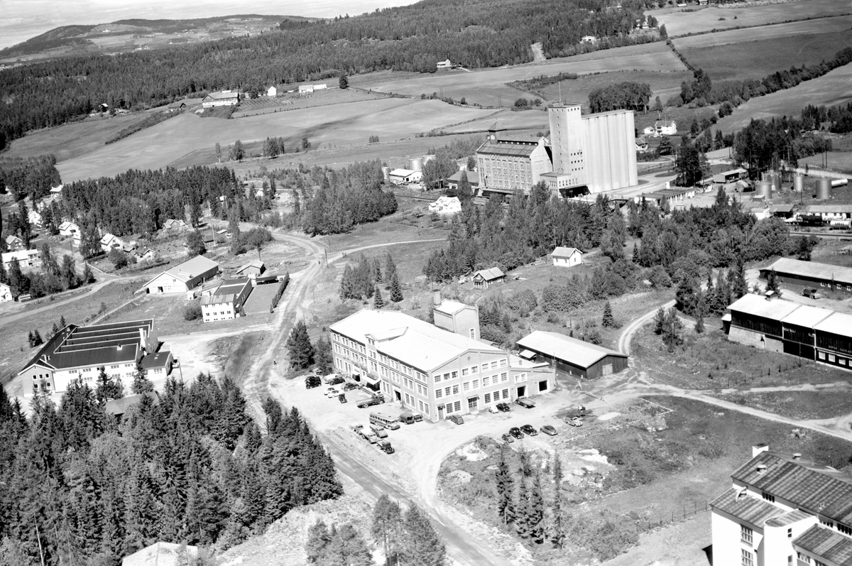 Widerøes Flyveselskap A/S, FLYFOTO, MERIT KONFEKSJONSFABRIKK, K. A. RASMUSSEN EDELMETALL, THUNE MASKINER, BIRKEBEINERVEGEN, KORNSILOEN, I BAKGRUNNEN HOLSJORDET FØR UTBYGGING AV HAMAR VEST