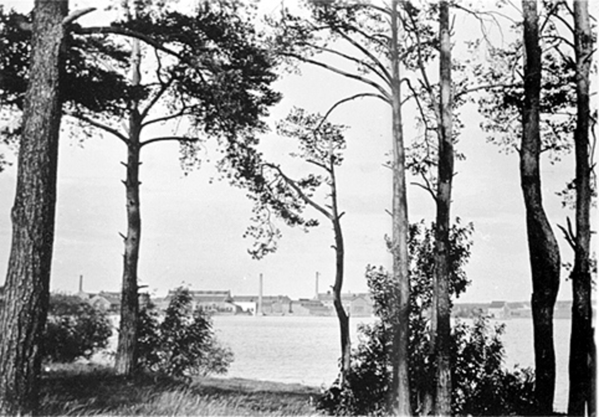 Anno Domkirkeodden, UTSIKT FRA TJUVHOLMEN MOT HAM-JERN OG JERNBANEVERKSTEDET, MJØSA